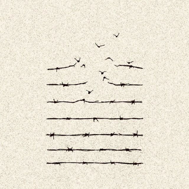 سروش زارع