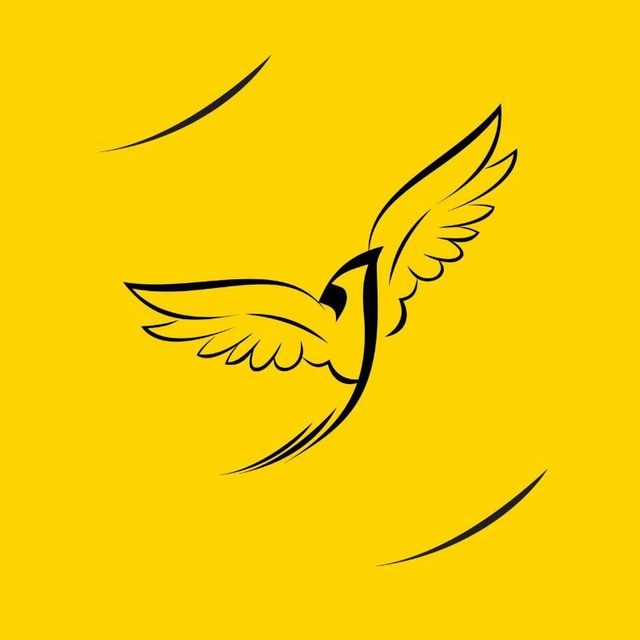 استودیو انسان تمام